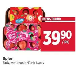 Pink - Epler