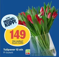 Tulipaner