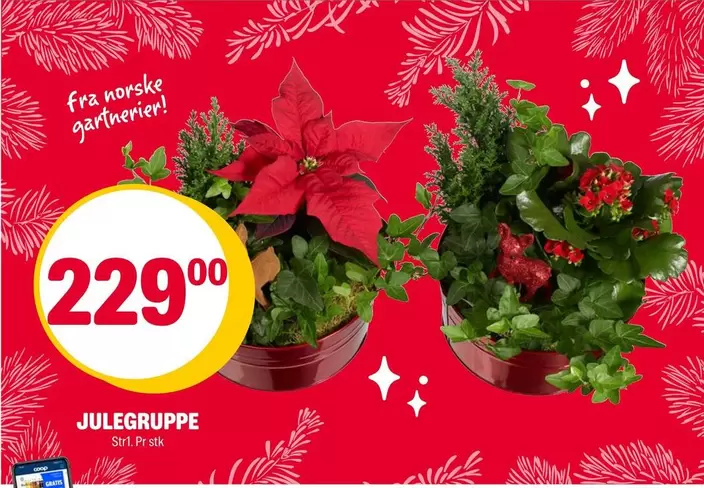 JULEGRUPPE