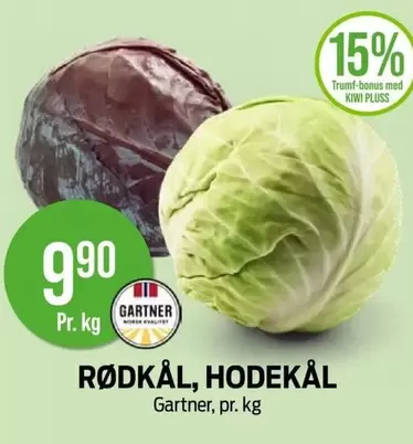 RØDKÅL, HODEKÅL