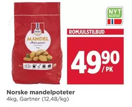 Norske mandelpoteter