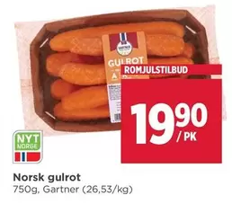 Norsk -  gulrot