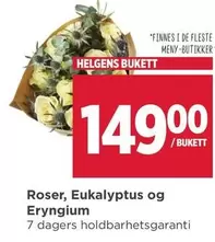Roser - HELGENS BUKETT