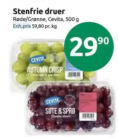 Stenfrie druer