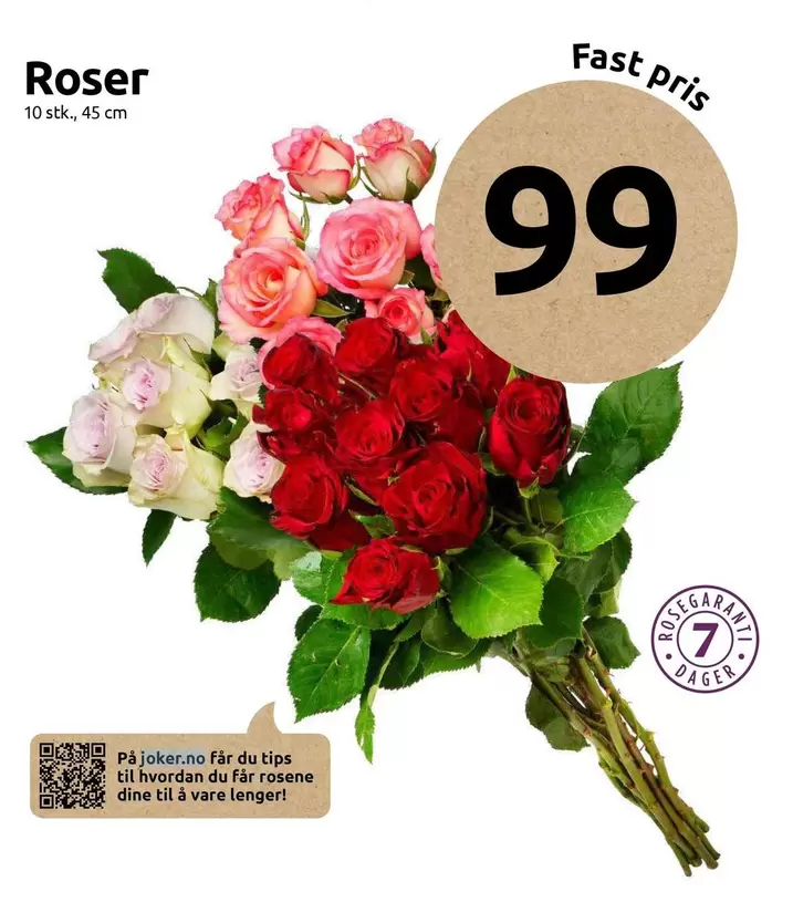 Roser -