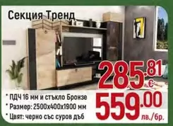 Секция Тренд