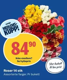 Roser - 14 stk
