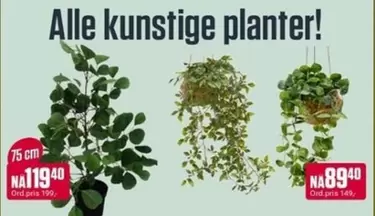 Alle kunstige planter!