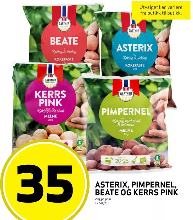Pink - ASTERIX, PIMPERNEL, BEATE OG KERRS PINK