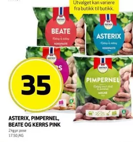 Pink - ASTERIX, PIMPERNEL, BEATE OG KERRS PINK