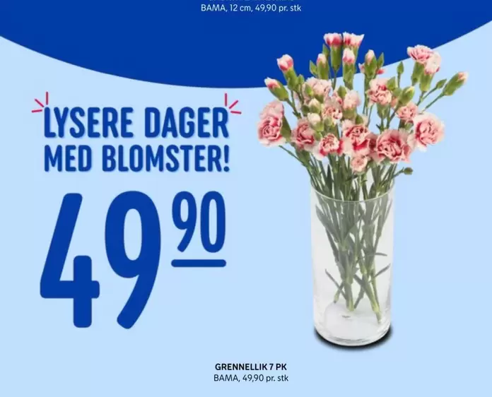 Bama - GRENNELLIK T PK