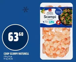 SCAMPI NATURELL