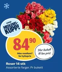 Roser - 14 stk