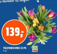 TULIPANER MIKS 12 PK