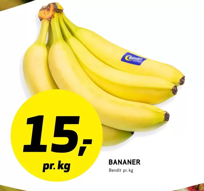 Costa Rica - BANANER