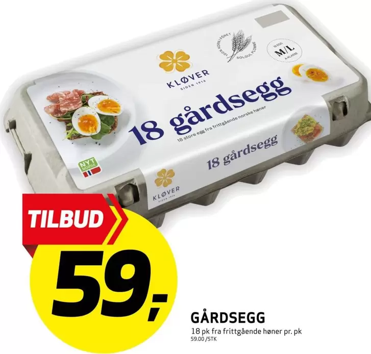 GÅRDSEGG