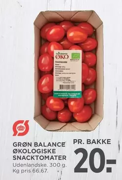 ØKOLOGISKE SNACKTOMATER