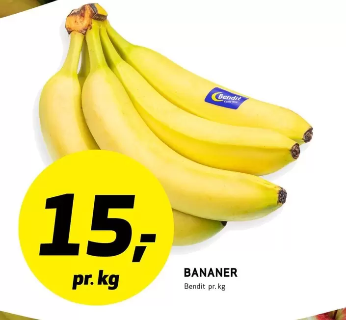 Costa Rica - BANANER