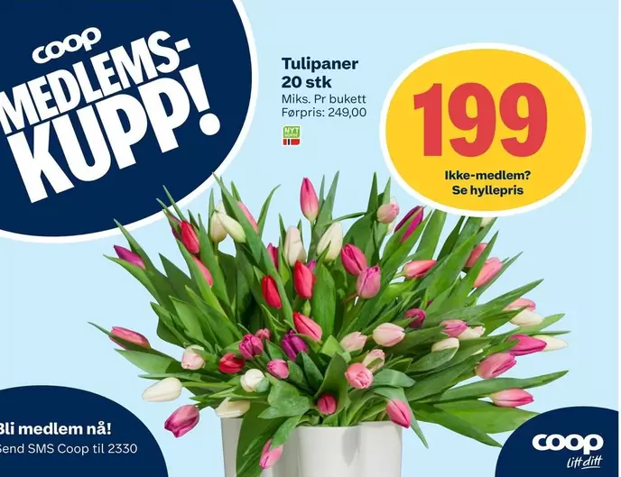 Tulipaner