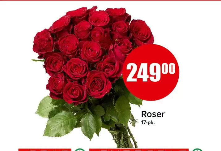 Roser -