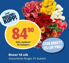 Roser - 14 stk