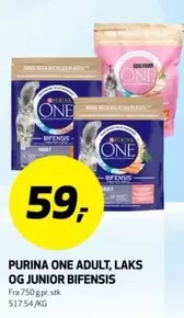 One - ONE ADULT, LAKS OG JUNIOR BIFENSIS