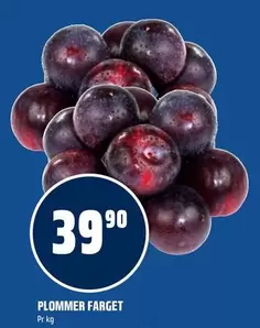 PLOMMER FARGET