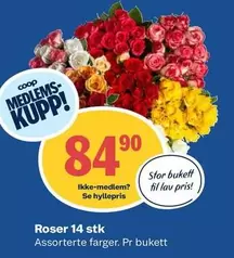 Roser -  14 stk