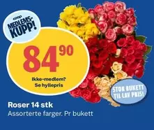 Roser -  14 stk