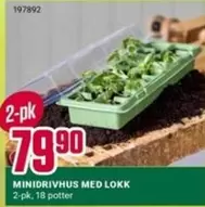 MINIDRIVHUS MED LOKK