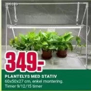 PLANTELYS MED STATIV