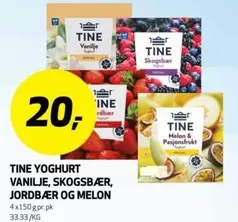 YOGHURT VANILJE, SKOGSBÆR, JORDBÆR OG MELON