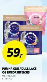 One - ADULT, LAKS OG JUNIOR BIFENSIS