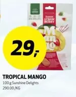 TROPICAL MANGO