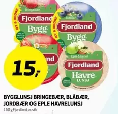 BYGGLUNSJ BRINGEBÆR, BLÅBÆR, JORDBÆR OG EPLE HAVRELUNSJ