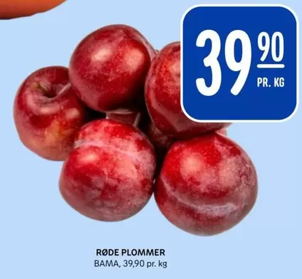 Bama - RØDE PLOMMER