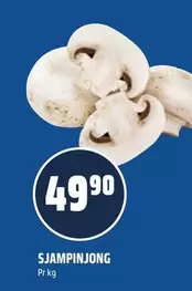 Sjampinjong