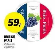 BRIE DE PARIS