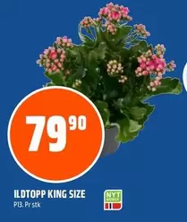 ILDTOPP KING SIZE