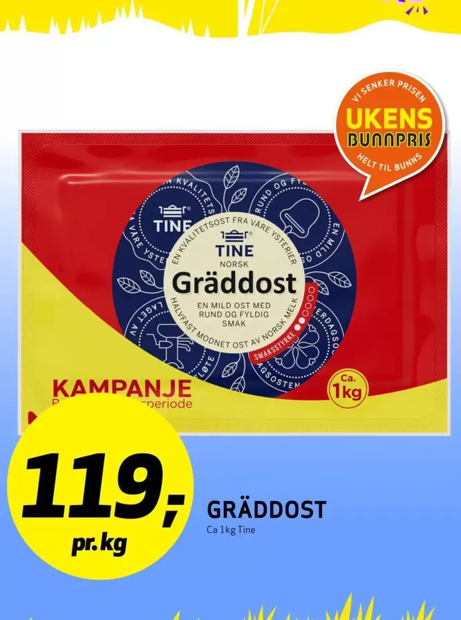 Norsk - Gräddost