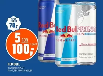 Drink - RED BULL