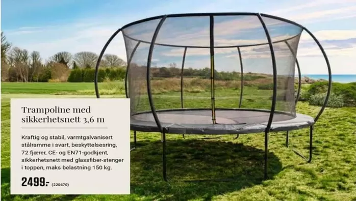 Trampoline -  med sikkerhetsnett 3,6 m
