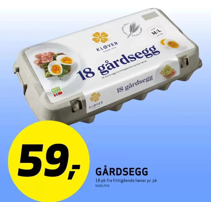 18 Gårdsegg