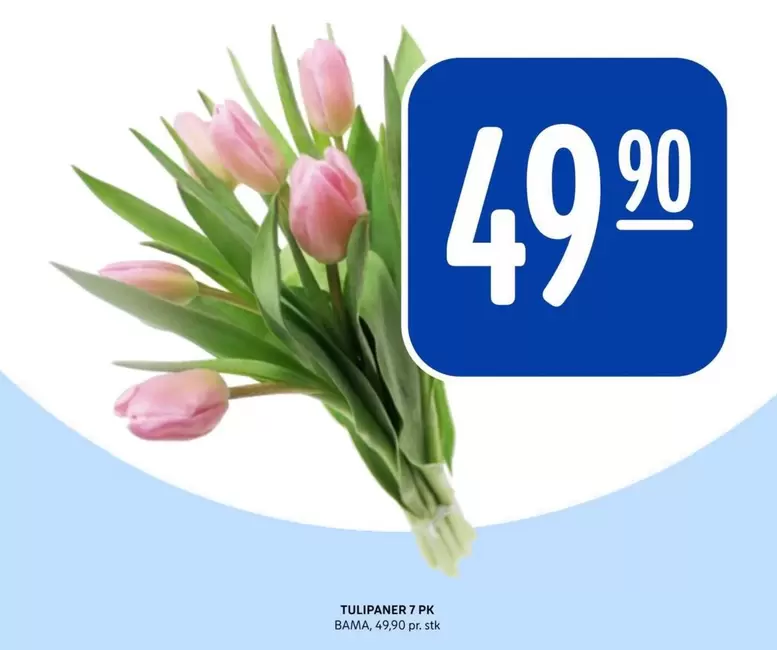 Bama - Tulipaner 7 pk