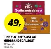 FLØTEMYSOST OG GUDBRANDSDALOST