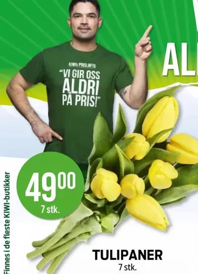 TULIPANER