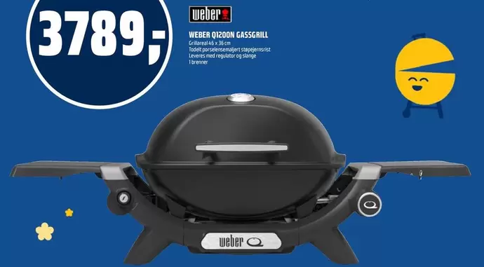 Weber - Q2000 GASSGRILL