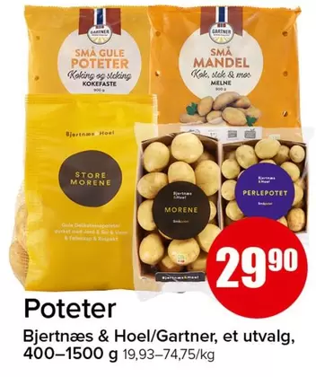 Poteter