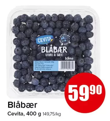 As - Blåbær