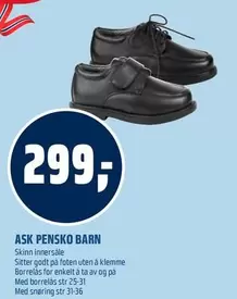 Barn - ASK PENSKO BARN